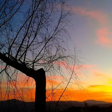 Resort Alpujarras 2*